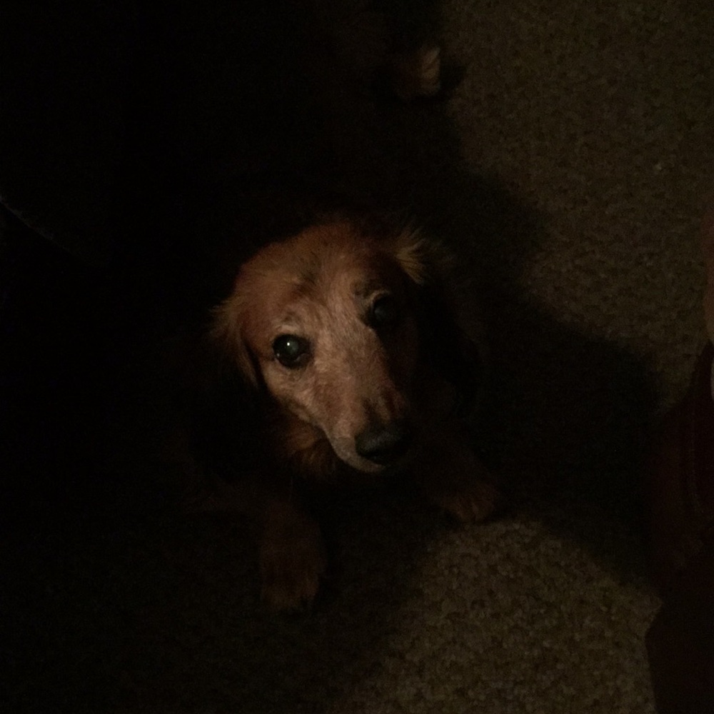 Meet your Posher, Tracy